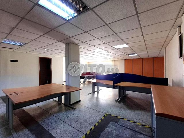 NEW-BUREAUPALMIER2 - Bureau à louer à Palmier - 2