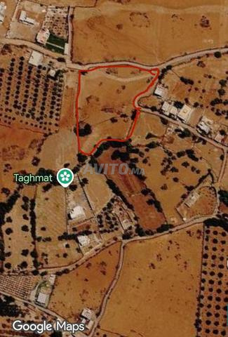 Terrain de 10.000 m2 sur la Route d’Ourika KM 26