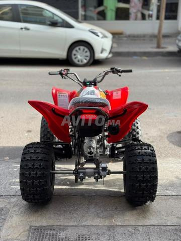 QUAD LPR TROOPER 125R 2026 RAPTOR