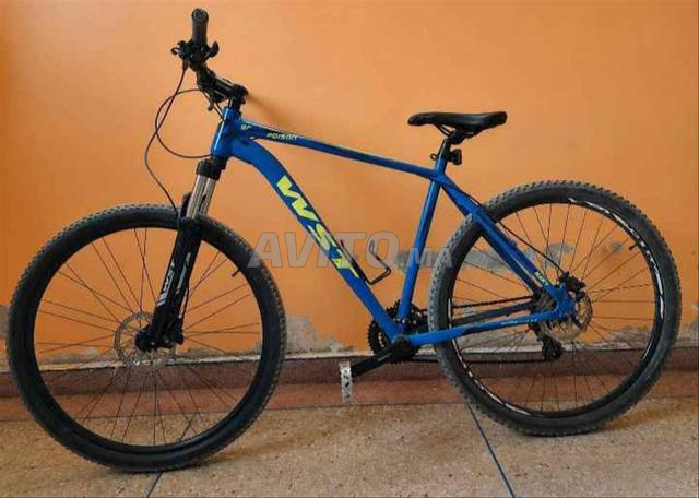 WST 9024 POISON 29 POS - 2