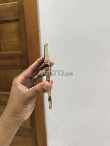 أبل حامل - 2