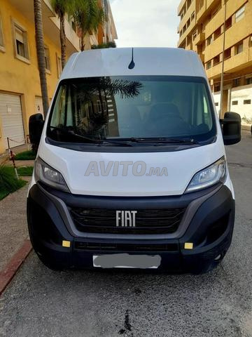 Ducato فيات H2 L2 3500 كغ M 2023 60000 كم