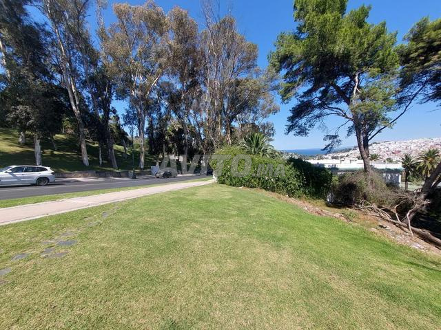 Terrain Prestigieux de 1 700 m² Californie - 2