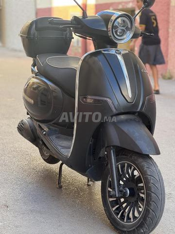 Cappoccino S2025 - 2