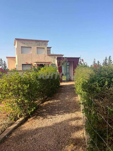 Ferme de 10 hectares à Ouled Said Settat