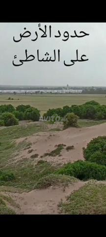 Sidi Rahal - 2
