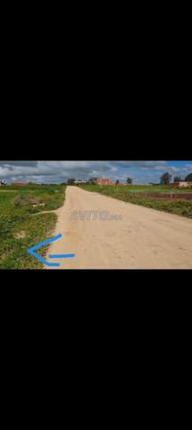 أرض زراعية للبيع 15559m2 700000dh - 2