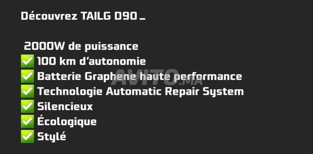 motor electrique tailg d90 - 2
