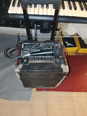 Système de sonorisation professionnel pour petites fêtes avec micro - 2