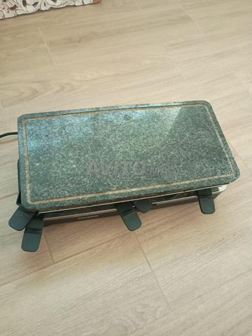 Grille electrique - 2