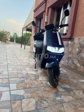 Tailg Mio à vendre - 2
