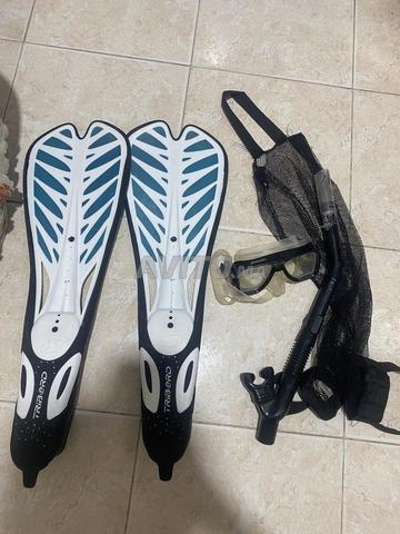 Pack les palmes - 2