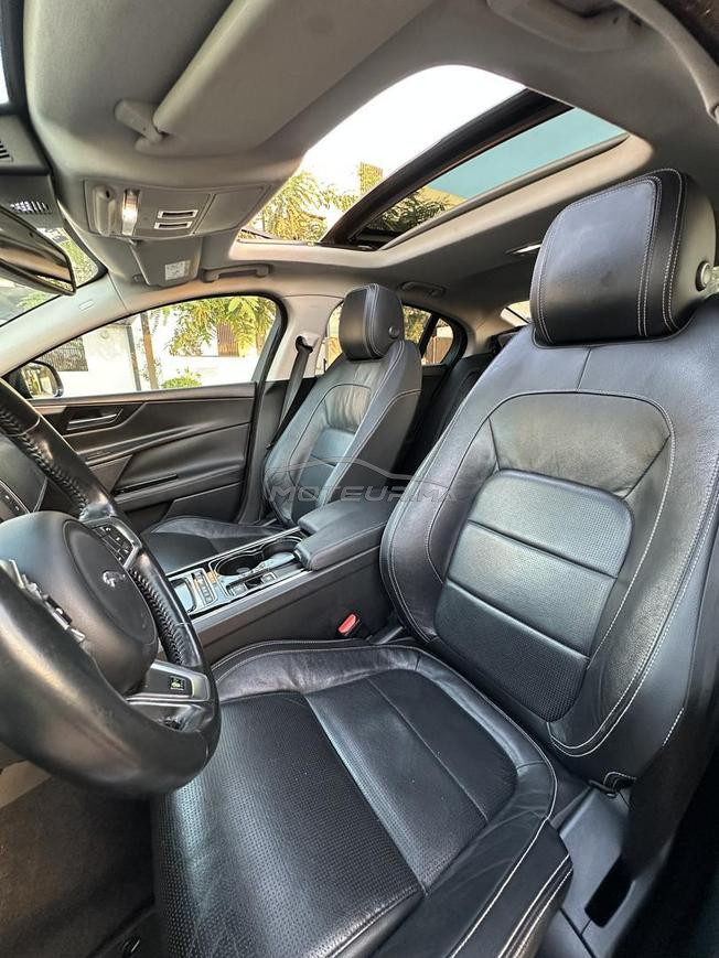 Jaguar XE R Sport