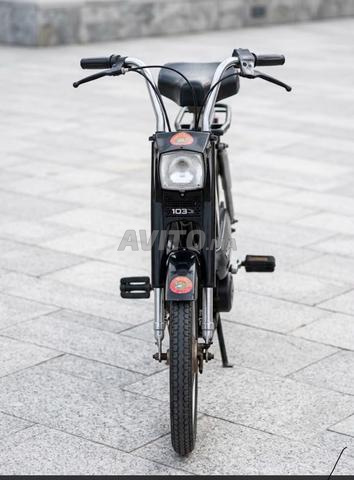 Peugeot 103 à Berkane - Bon état - 2