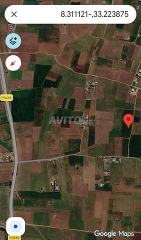 Terrain à vendre situé à 7 kilomètres d'Azemmour