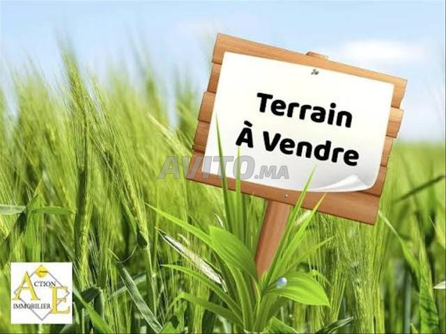 Terrain de 342 m² à vendre Victoria Bouskoura