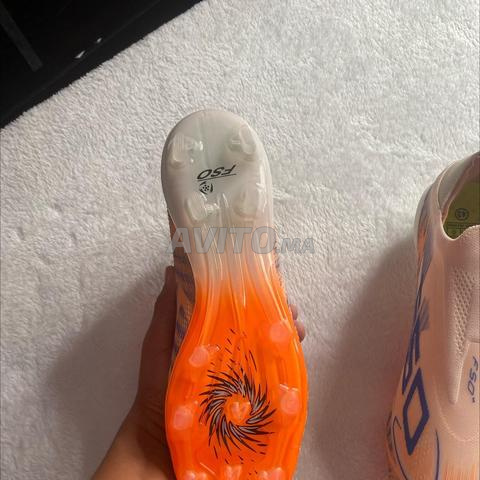 codasse f50 - 2
