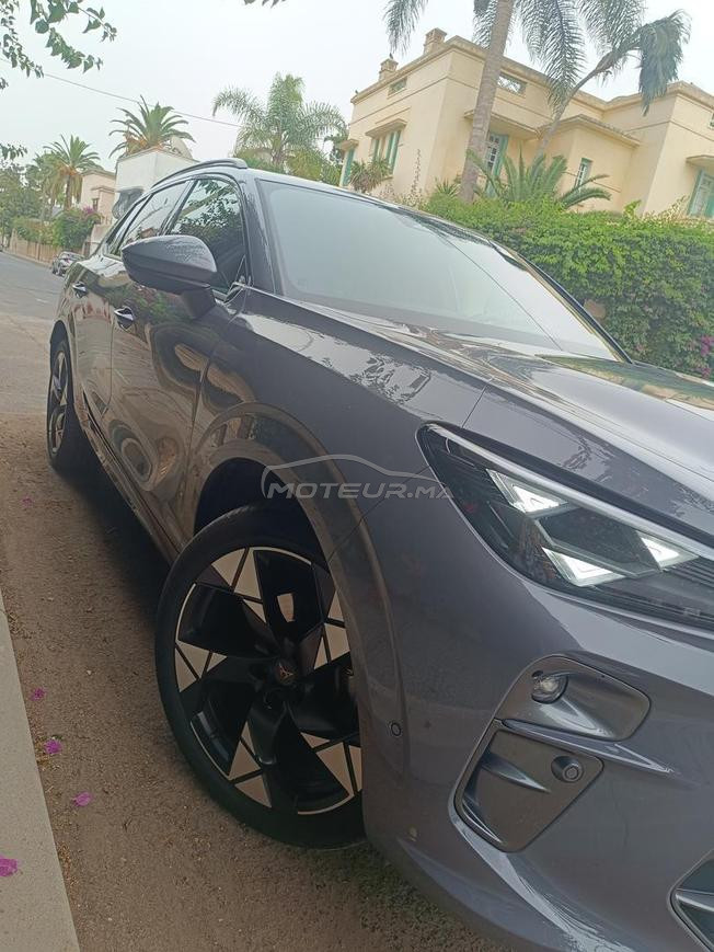 Cupra Terramar 1ere main