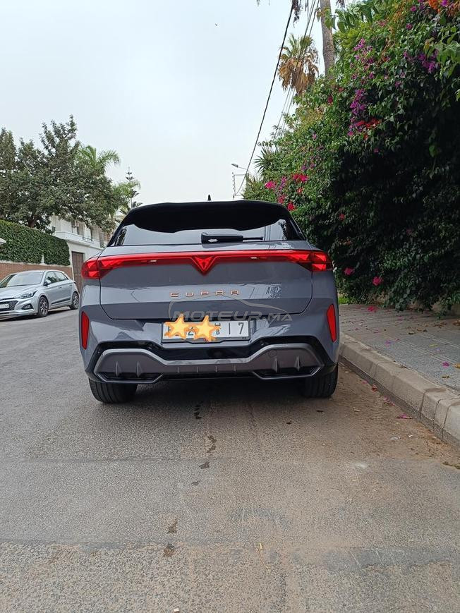 Cupra Terramar 1ere main