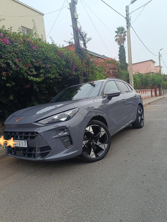 Cupra Terramar 1ere main