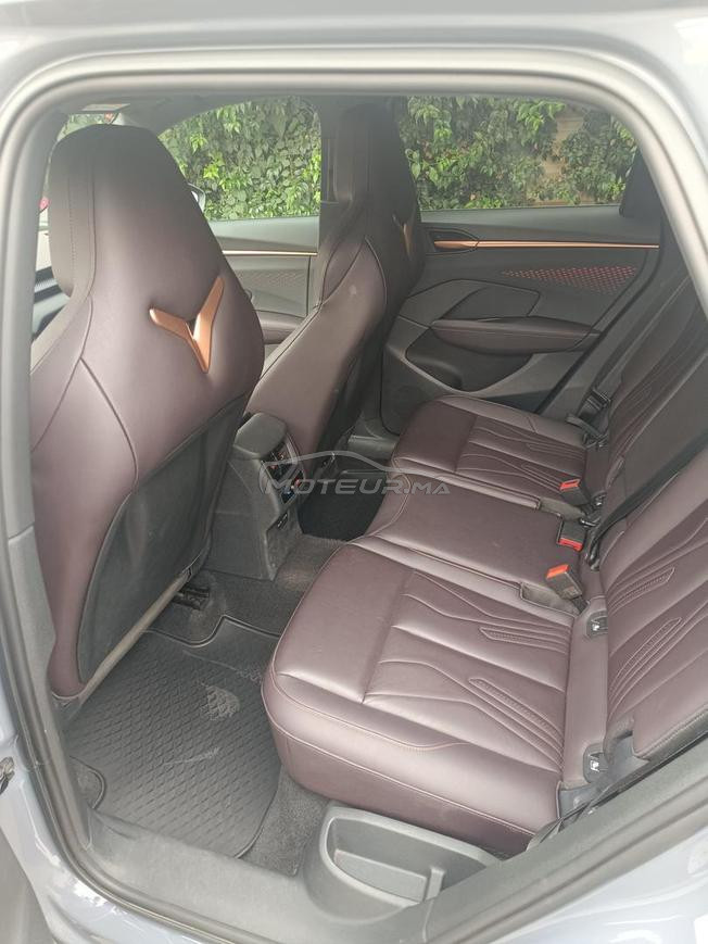 Cupra Terramar 1ere main