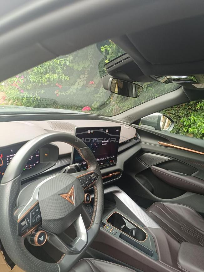 Cupra Terramar 1ere main