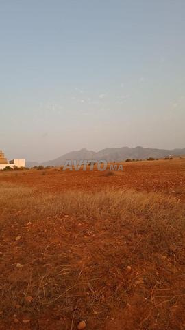Terrain Kariat Arekmane - 2