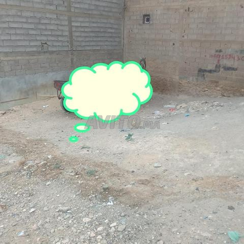 Sidi Abdel Karim - 2