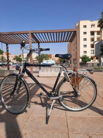 دراجة هولندية Gazelle راحة وسعر جيد - 2