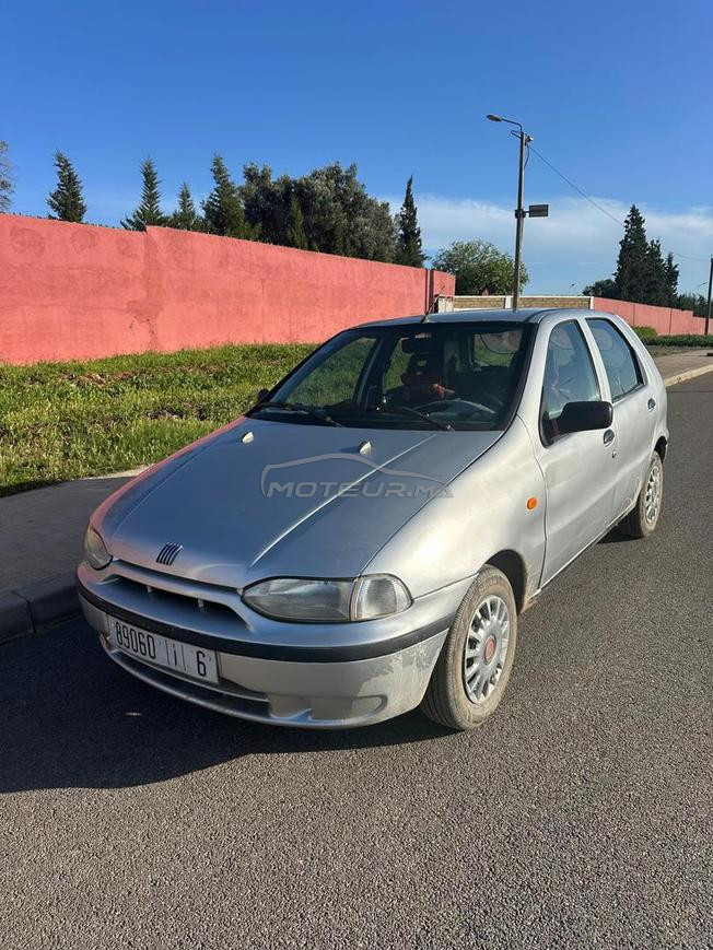 paliuo essnse 2003 