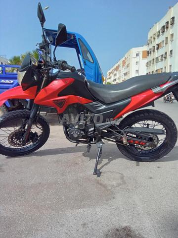 ryad loulfa - 2
