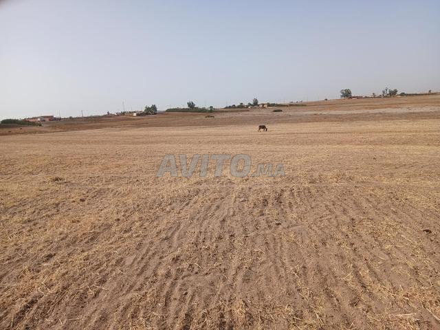 Terrain à vendre, titre de propriété enregistré - 2