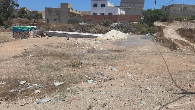 بويافر. ميناء الناظور غرب المتوسط - 2