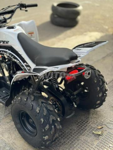 QUAD TROOPER 110R – Quad 110cc automatique - 2