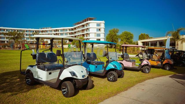 Golf Cart Électrique Lithium – Neuve | EVFMX - 2