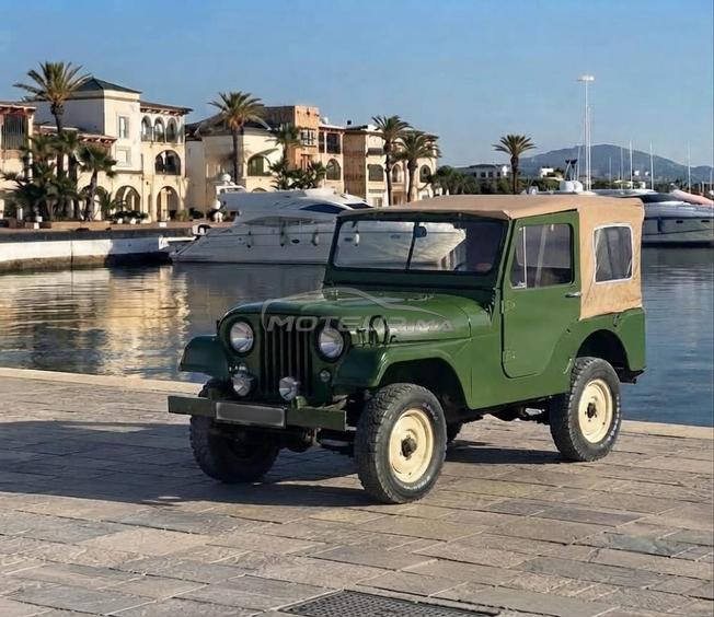 jeep willys