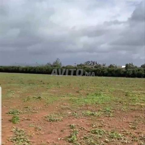 89361-Vente Terrain à Nouaceur Saleh de 43450 m²