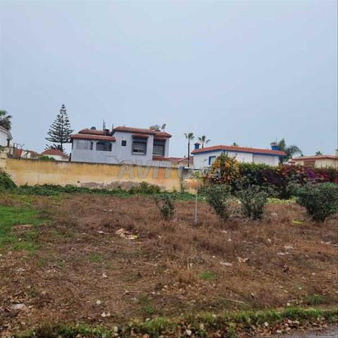 157804-Vente Terrain à Mohammédia Monica de 512 m²