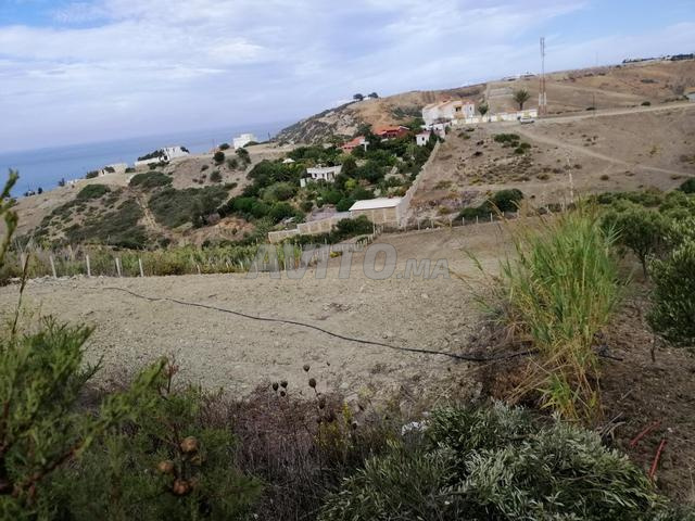 أرض للبيع Terrain- Playa Blanca المنطقة السياحية - 2