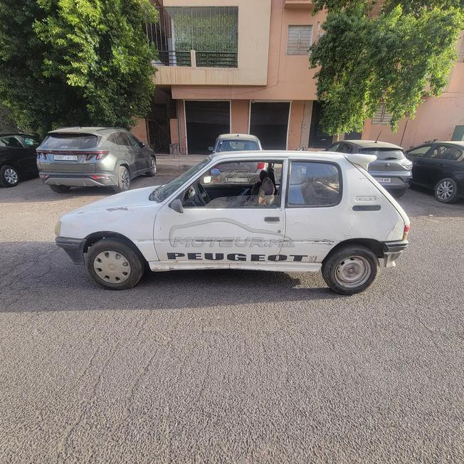 205 essence dewana 96