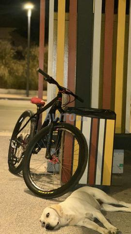 bike full preparation 29’ - 2