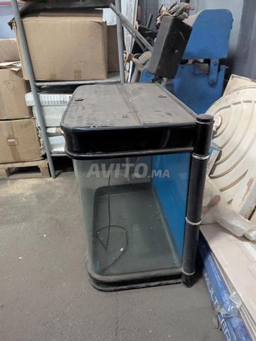 Aquarium pour poissons. - 2