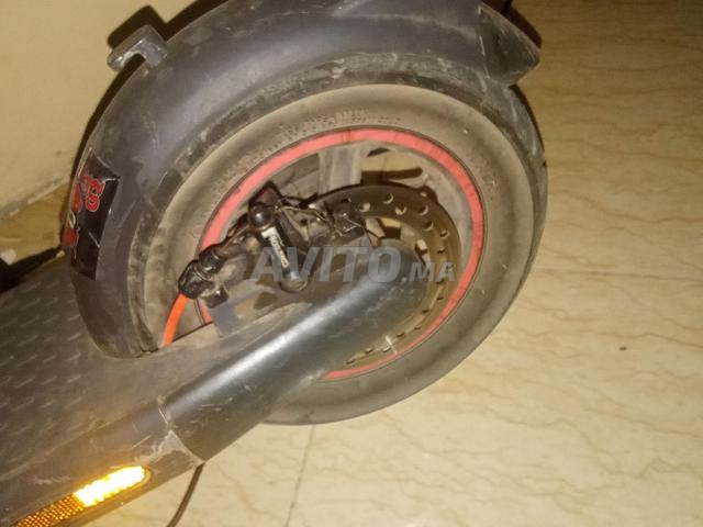 Trottinette neuve - 2