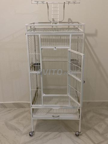 Cage professionnelle pour les perroquets, au design moderne et robuste, - 2