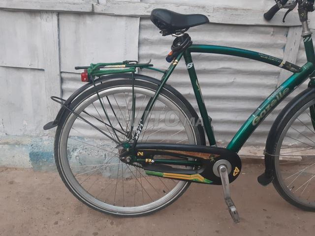 دراجة هوائية من نوع gazelle - 2