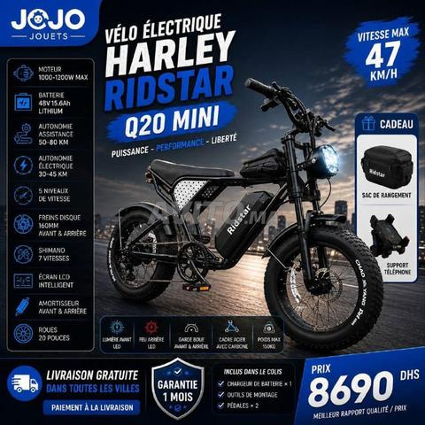 الدراجة الكهربائية Harley RidStar Q20 Mini - 2