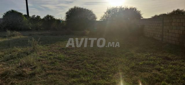 Terrain titré à vendre 1024 m² – El Haouzia (Nouaceur) - 2