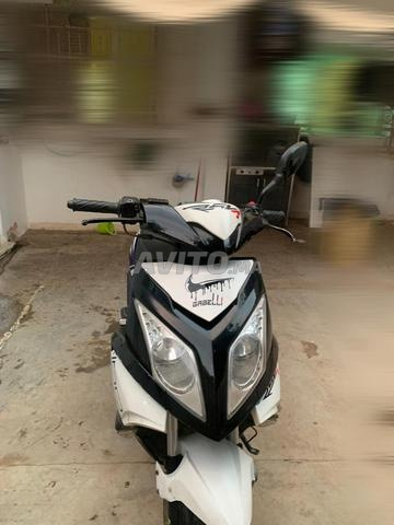 Scooter Gabelli - 2