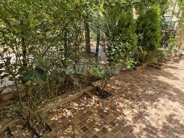 Appartement à louer 62 m² à Marrakech