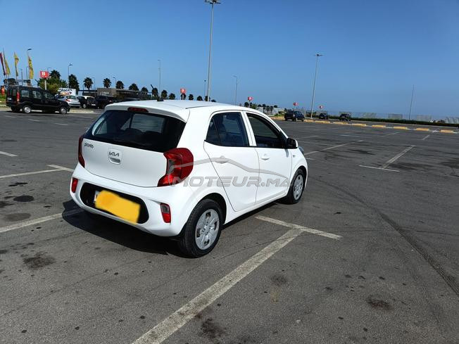 Picanto automatique 